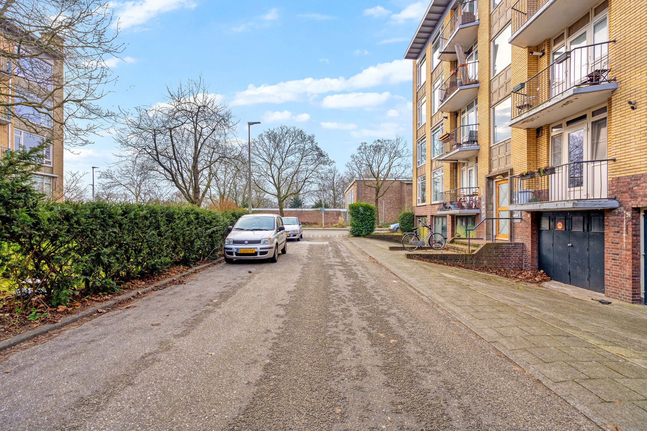 Foto 33 van Tolsteegplantsoen 5