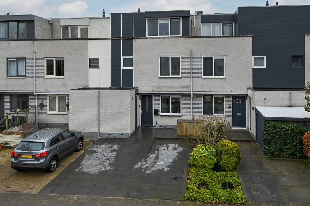 Foto 1 van Grauwe Gans 48