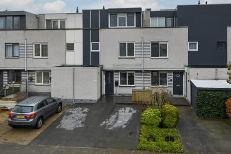 Grauwe Gans thumbnail