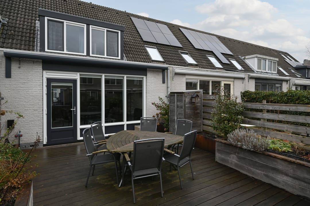 Foto 2 van Grauwe Gans 48