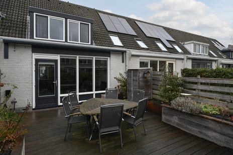 Grauwe Gans 48 secondary image