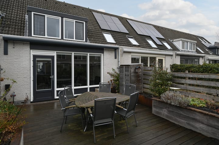 Foto 2 van Grauwe Gans 48