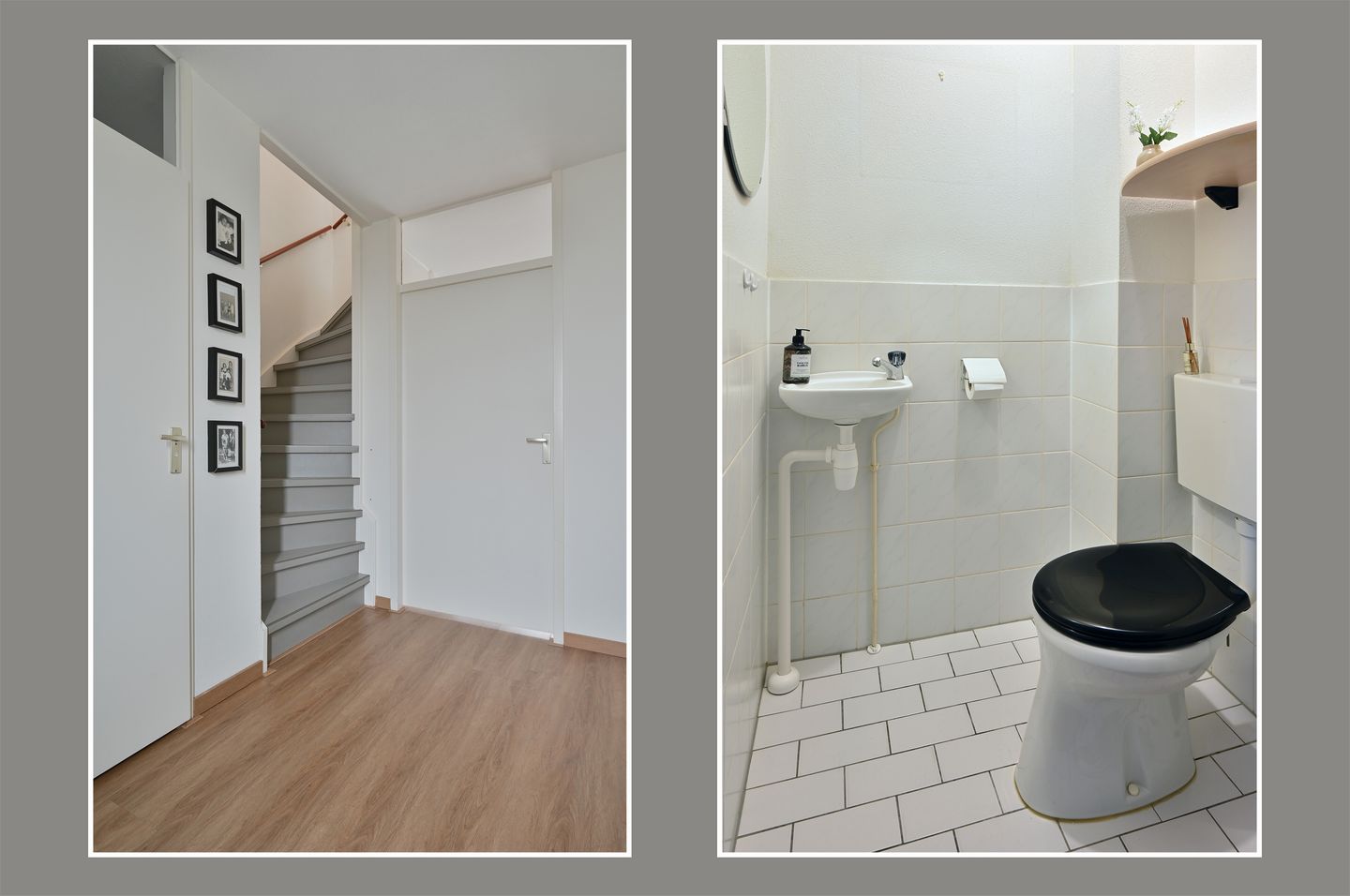 Foto 10 van Grauwe Gans 48