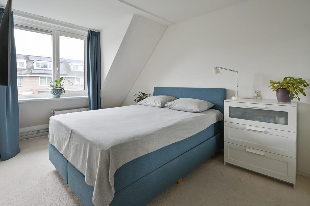 Foto 11 van Grauwe Gans 48