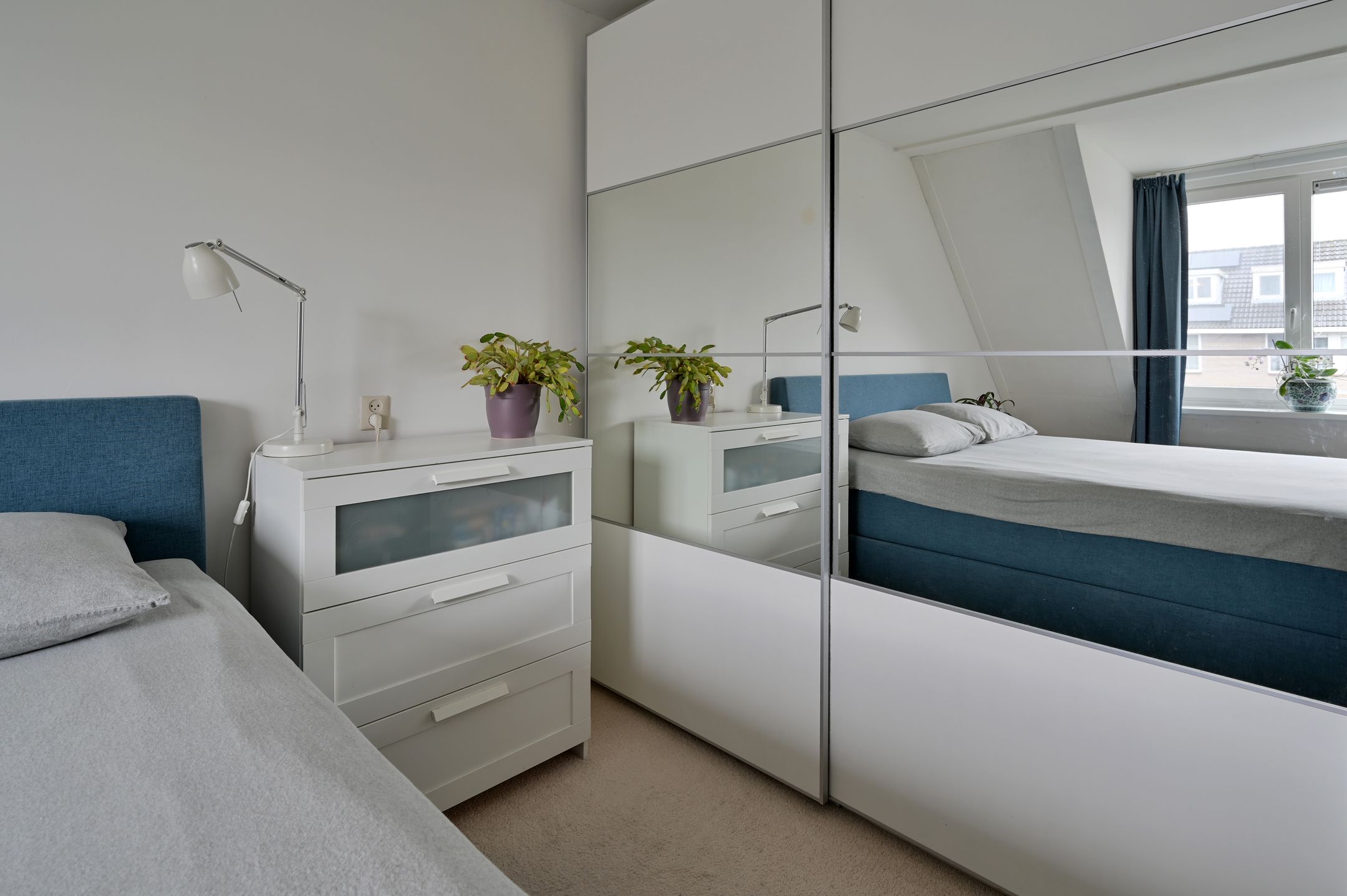 Foto 12 van Grauwe Gans 48