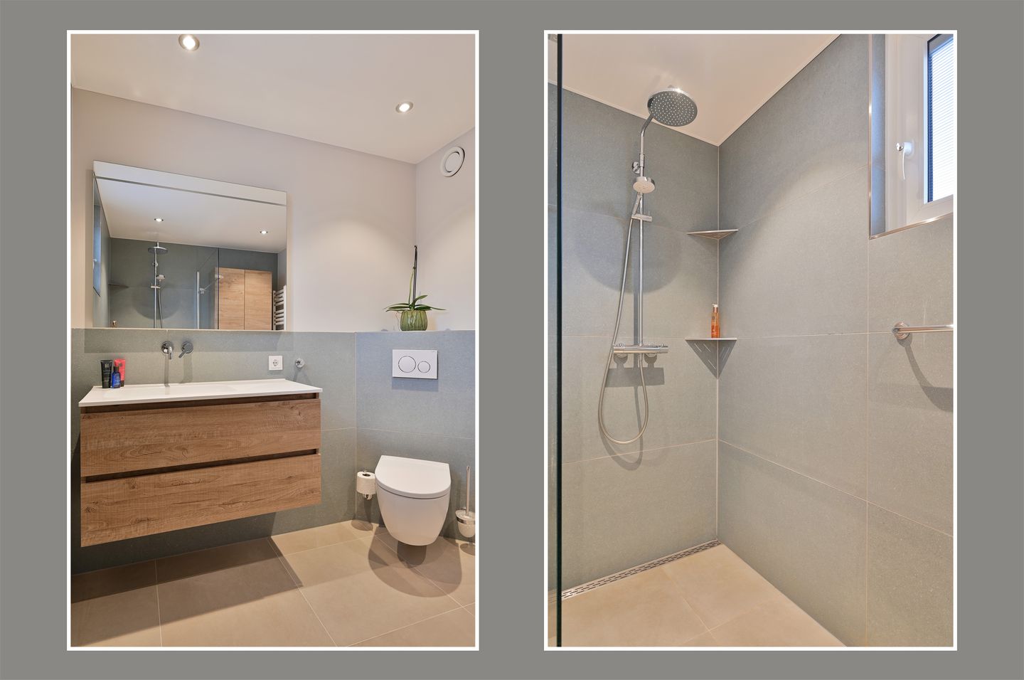 Foto 14 van Grauwe Gans 48