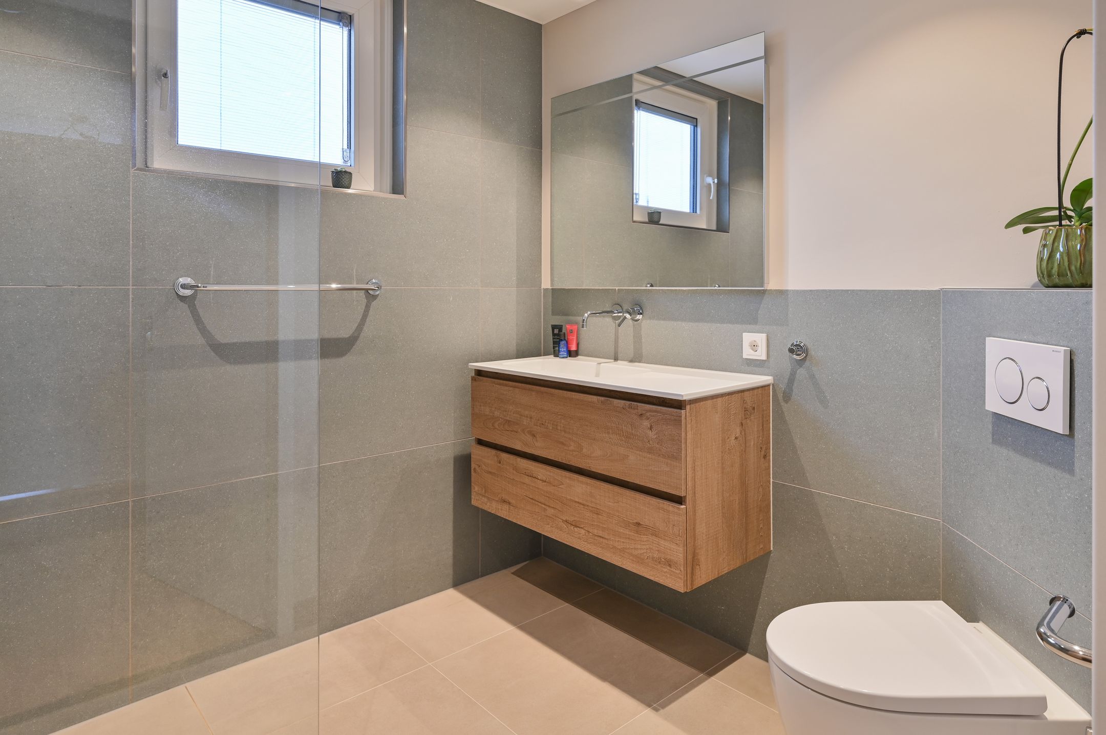 Foto 15 van Grauwe Gans 48