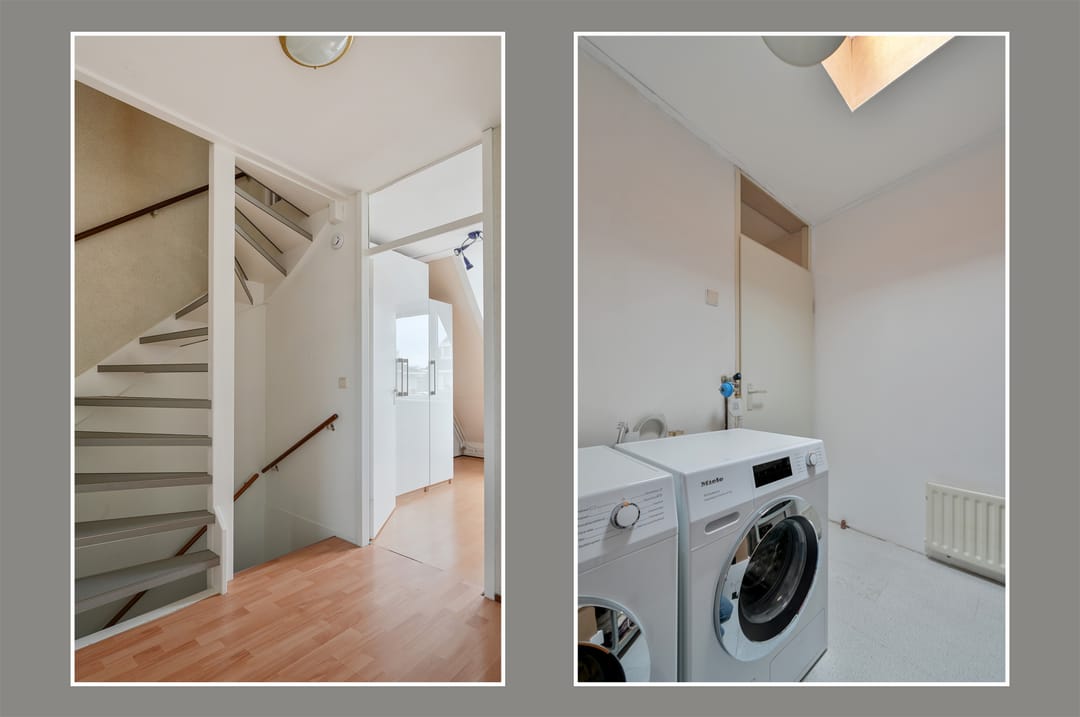 Foto 16 van Grauwe Gans 48