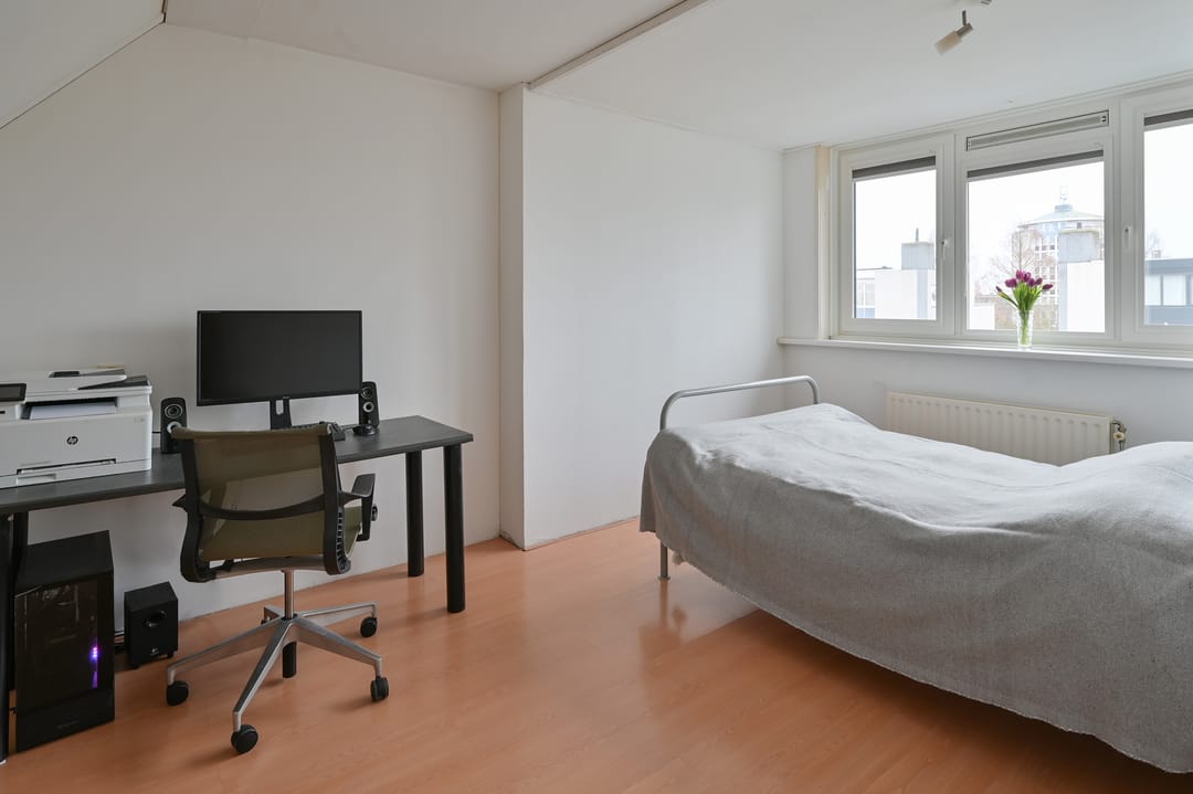 Foto 17 van Grauwe Gans 48