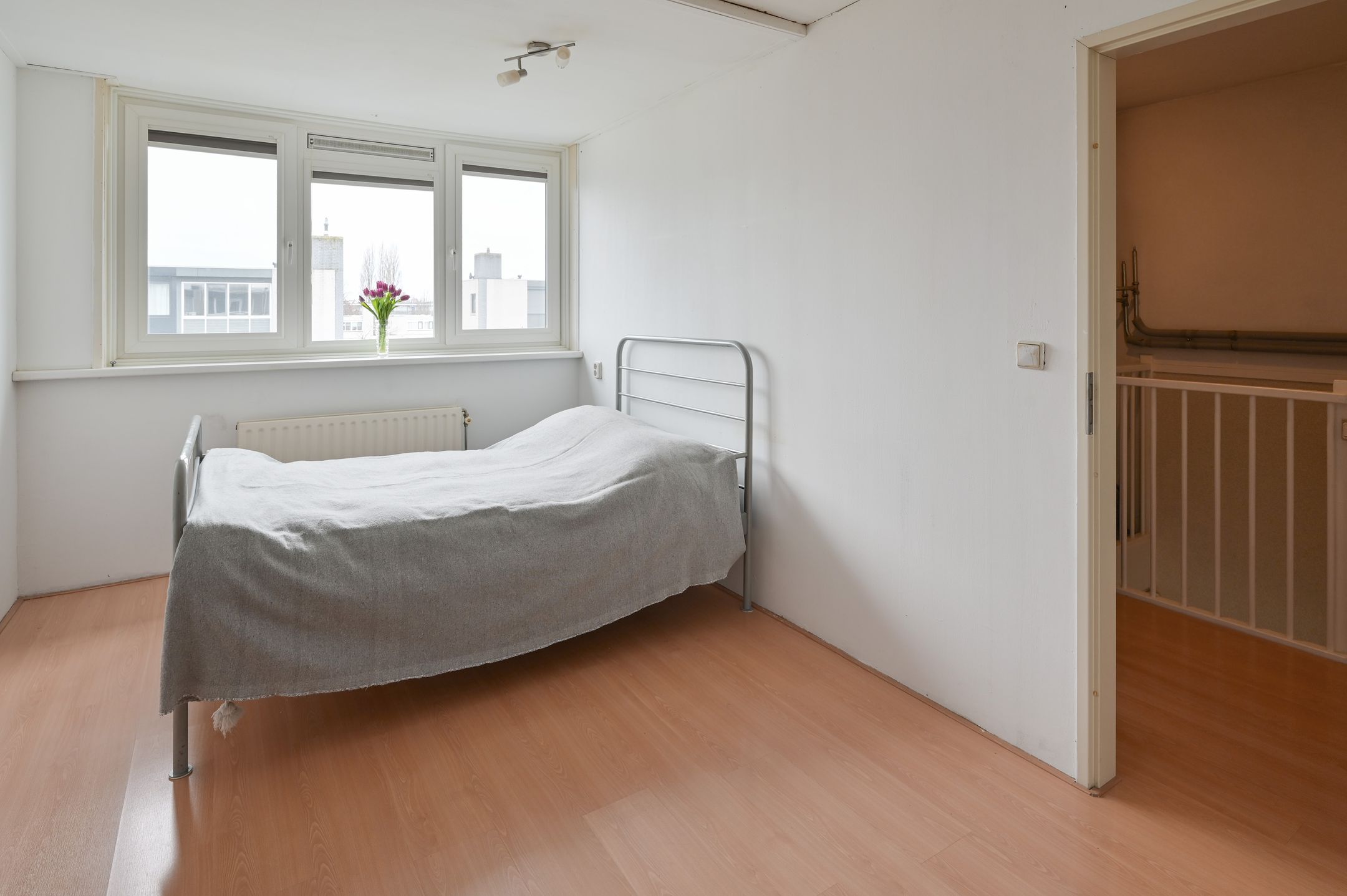 Foto 18 van Grauwe Gans 48