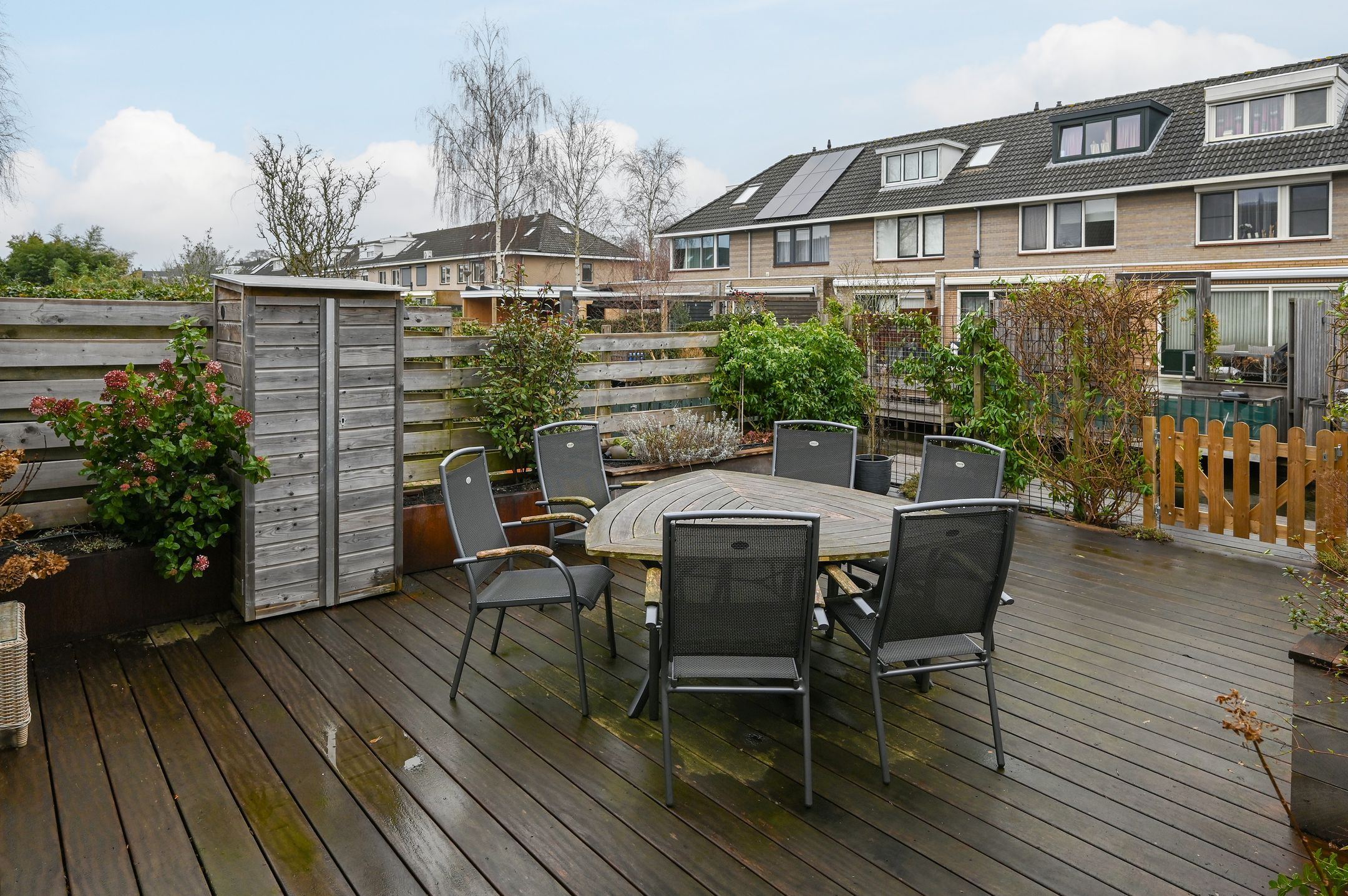 Foto 21 van Grauwe Gans 48