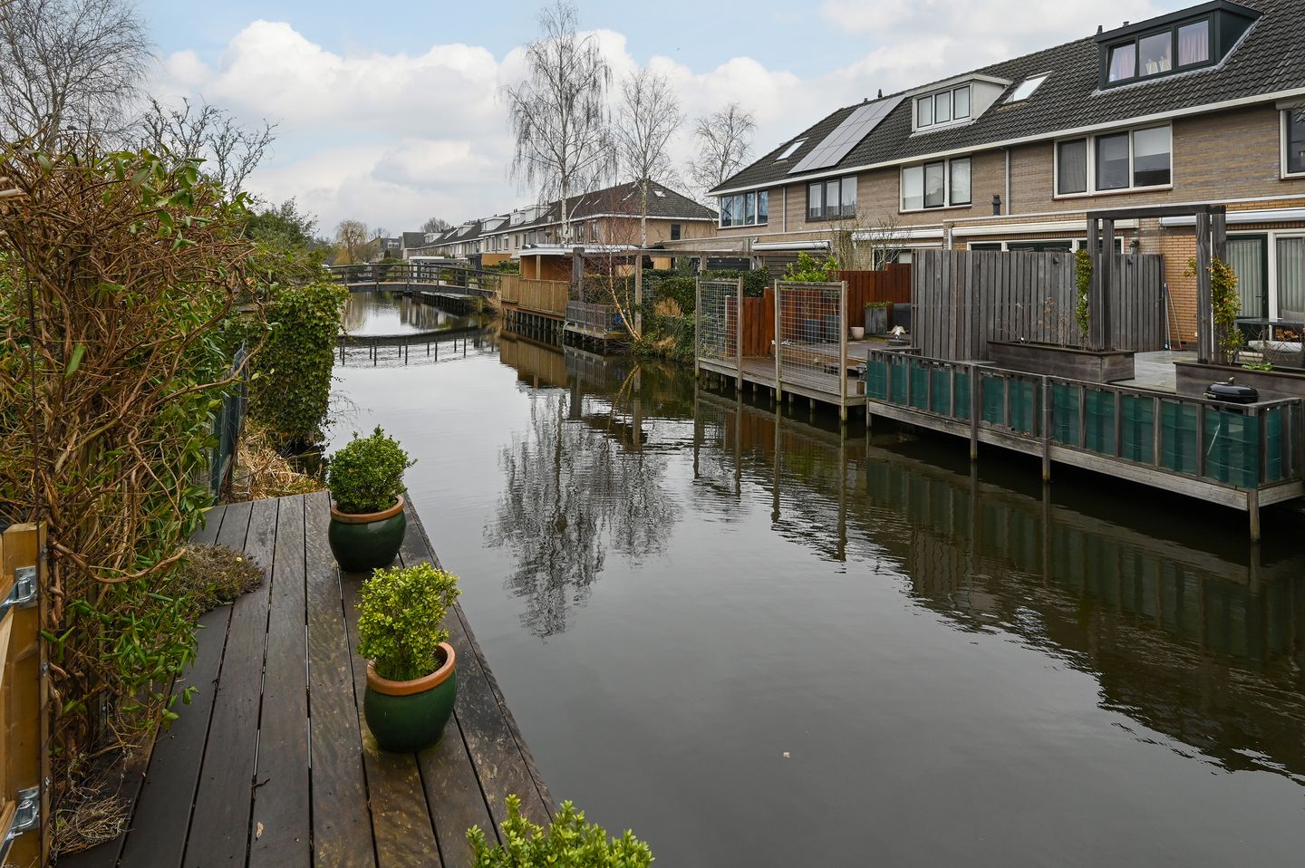 Foto 25 van Grauwe Gans 48