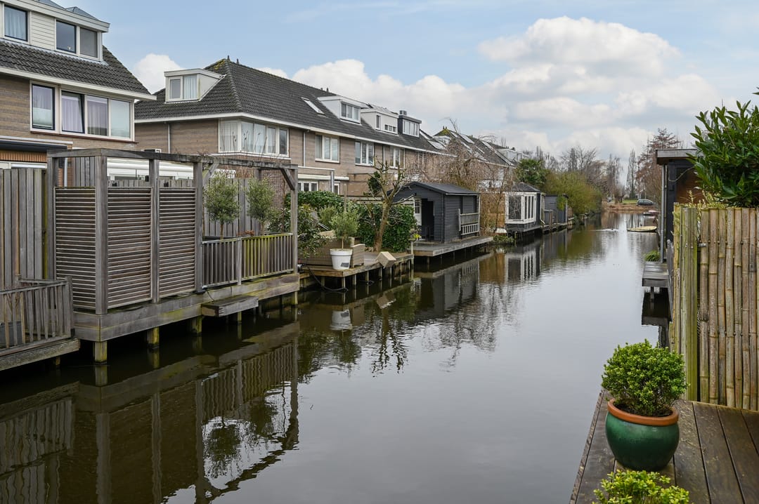 Foto 26 van Grauwe Gans 48