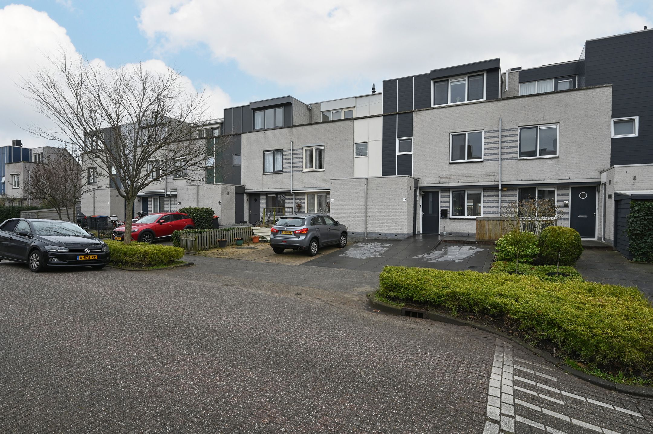 Foto 27 van Grauwe Gans 48