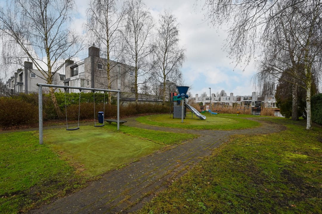 Foto 28 van Grauwe Gans 48