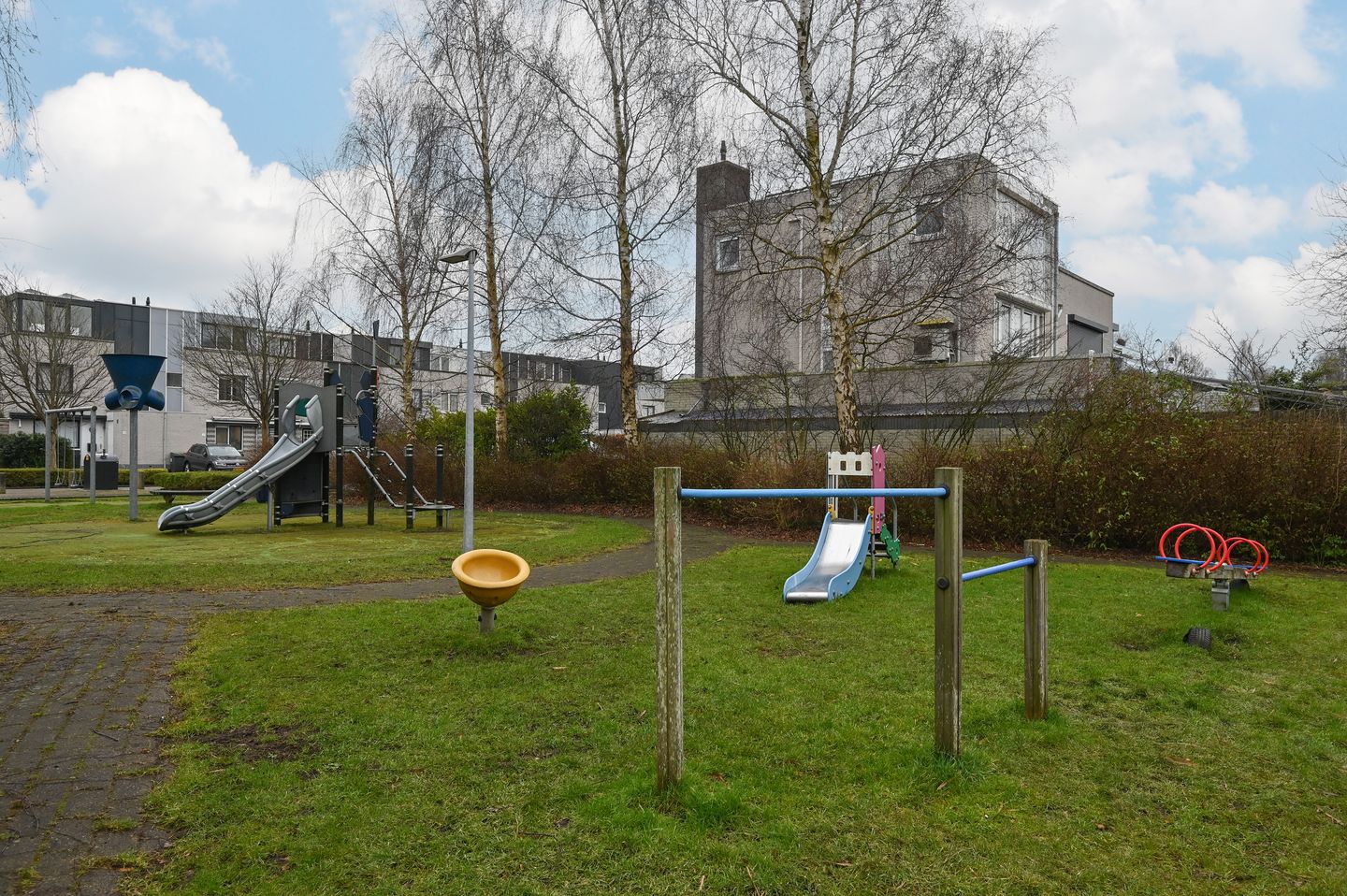 Foto 29 van Grauwe Gans 48