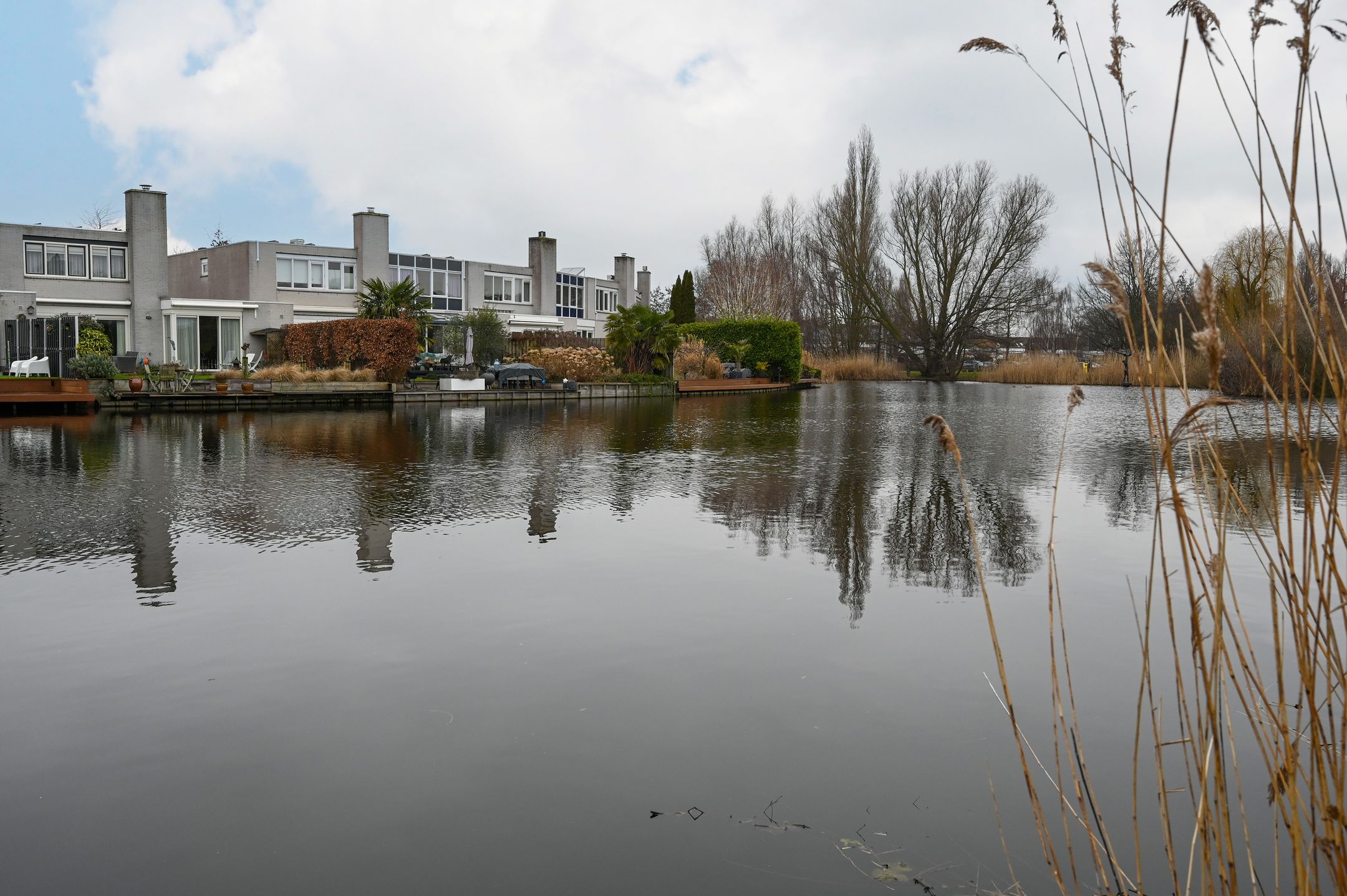 Foto 30 van Grauwe Gans 48