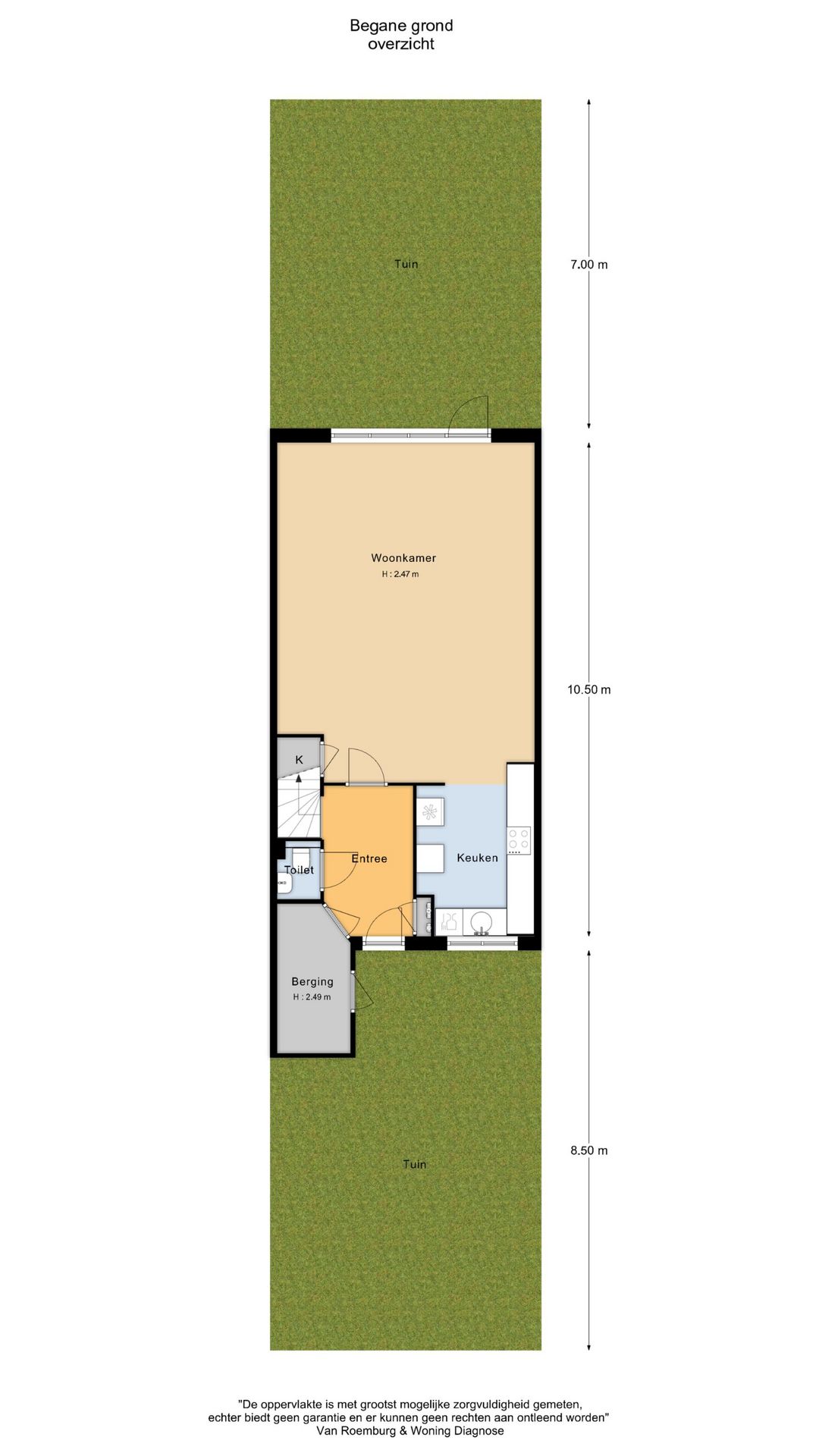 Foto 31 van Grauwe Gans 48