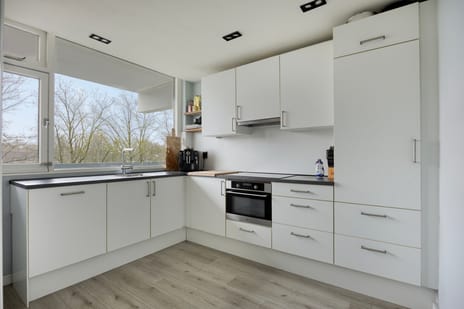 Pollux 335 secondary image