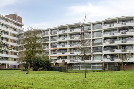 Pollux 335 tertiary image