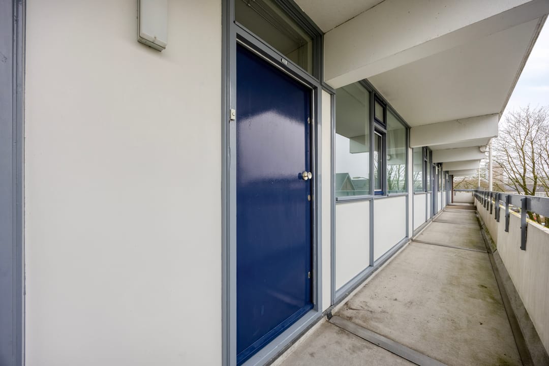 Foto 7 van Pollux 335