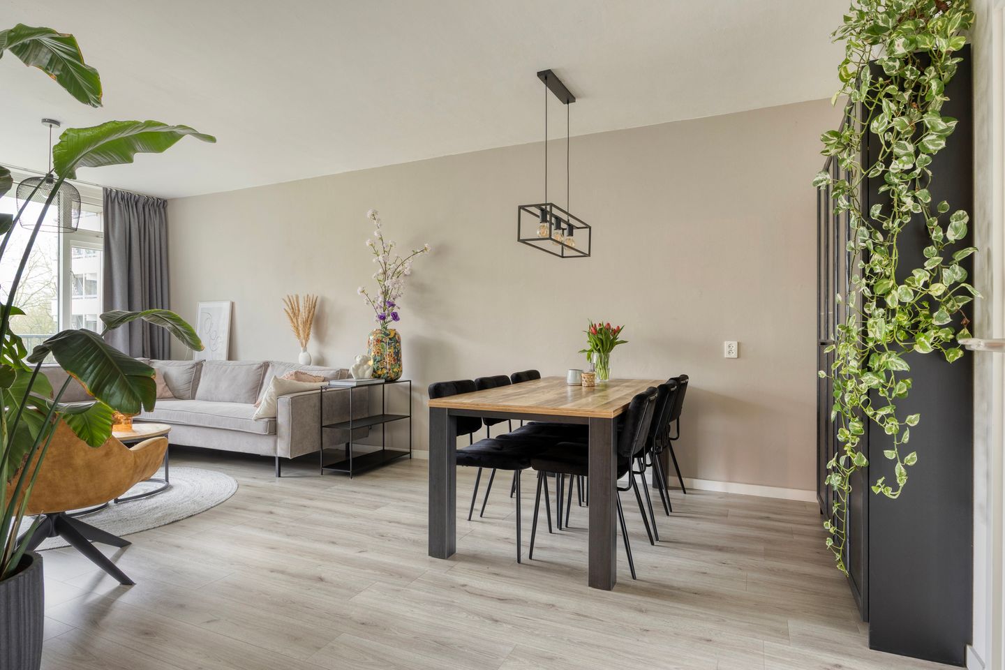 Foto 10 van Pollux 335