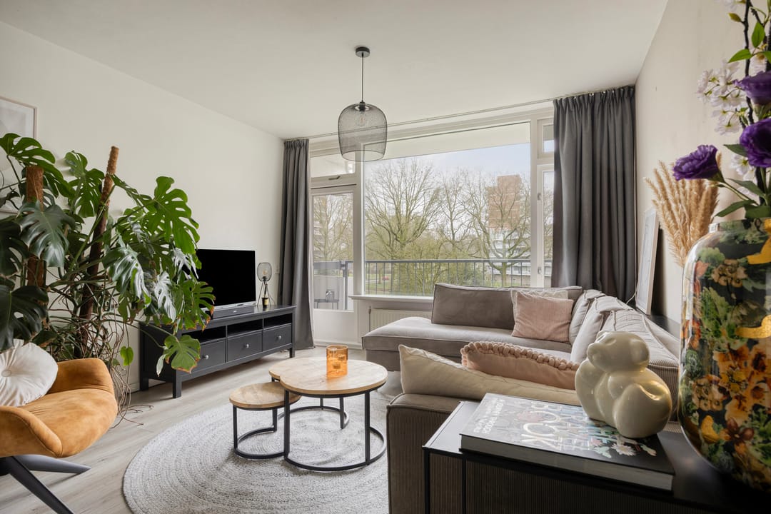 Foto 11 van Pollux 335