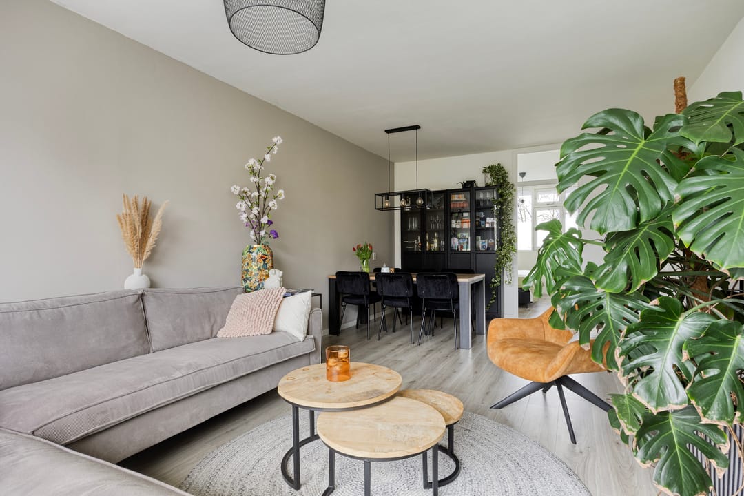 Foto 13 van Pollux 335