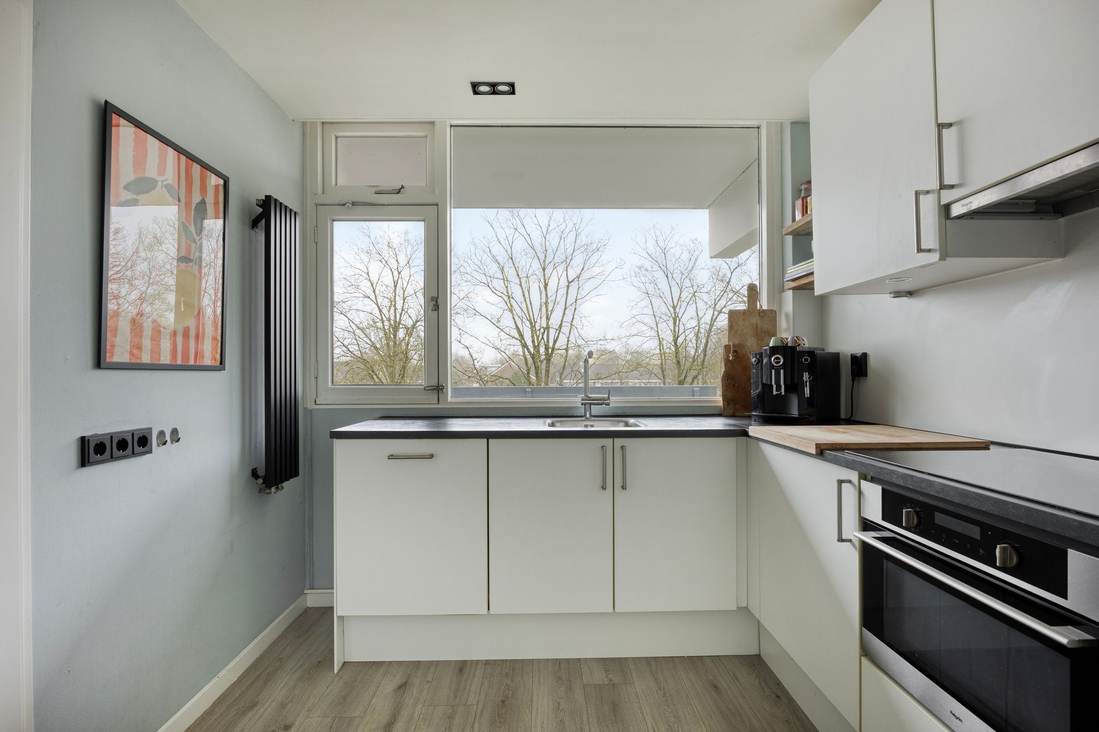 Foto 15 van Pollux 335