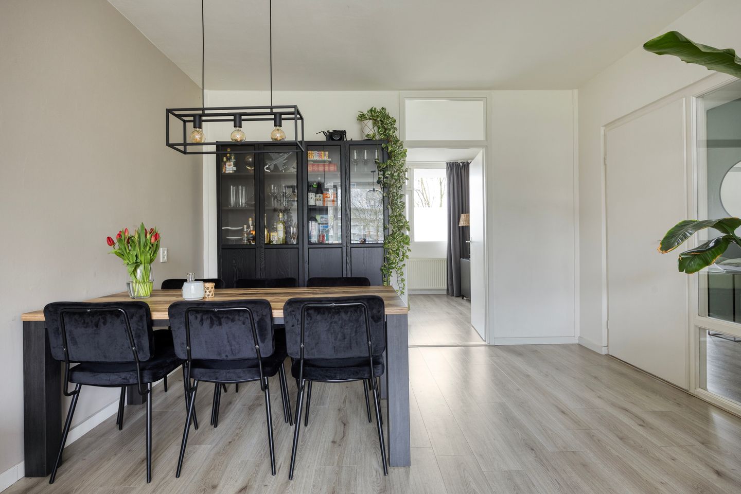 Foto 14 van Pollux 335