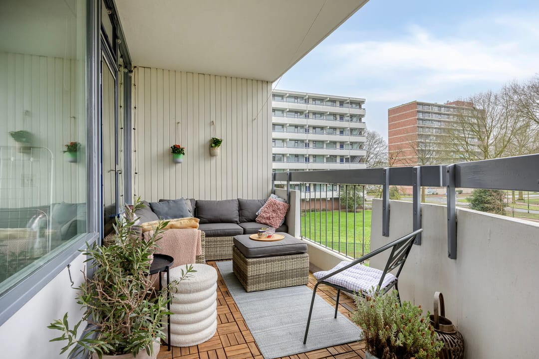 Foto 23 van Pollux 335