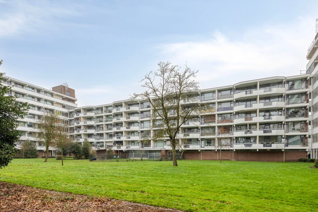 Foto 26 van Pollux 335