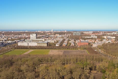 Anna van Buerenplein thumbnail