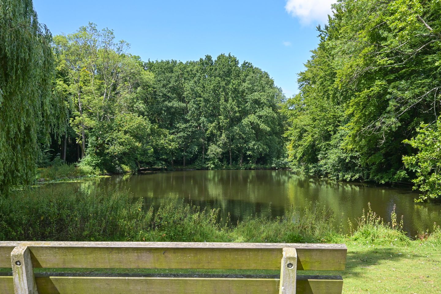 Foto 25 van Lindelaan 215