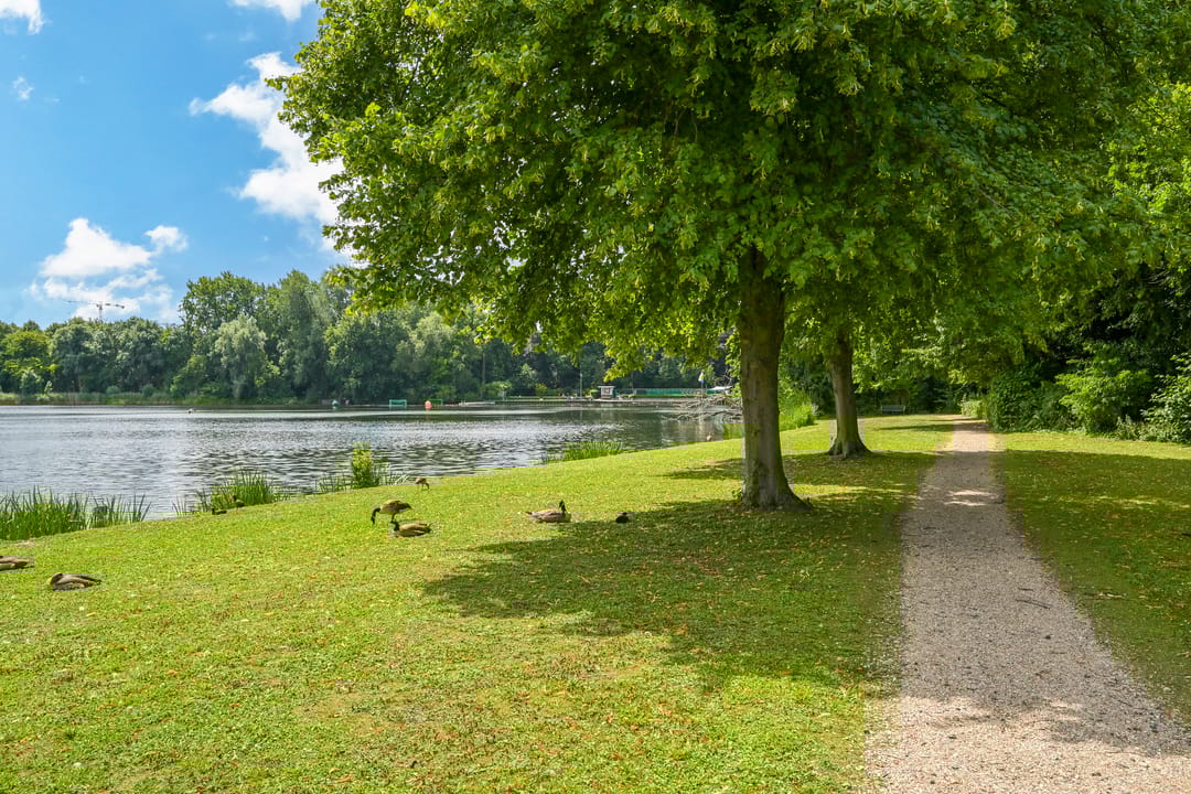 Foto 28 van Lindelaan 215