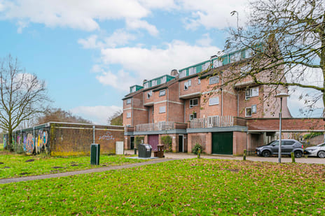 undefined main image