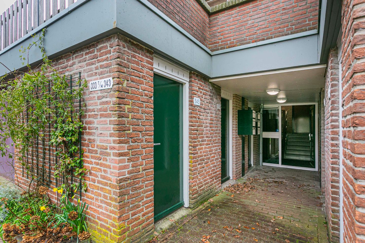 Photo 5 of Albert van Dalsumlaan 343