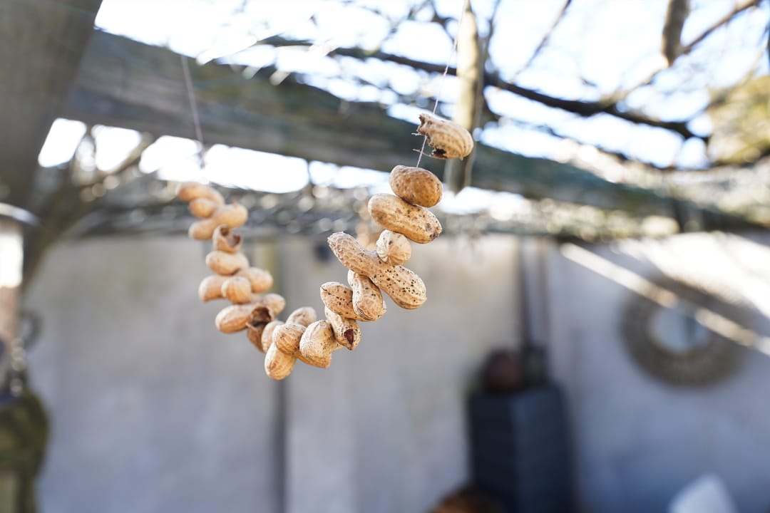 Foto 22 van Havikstraat 20