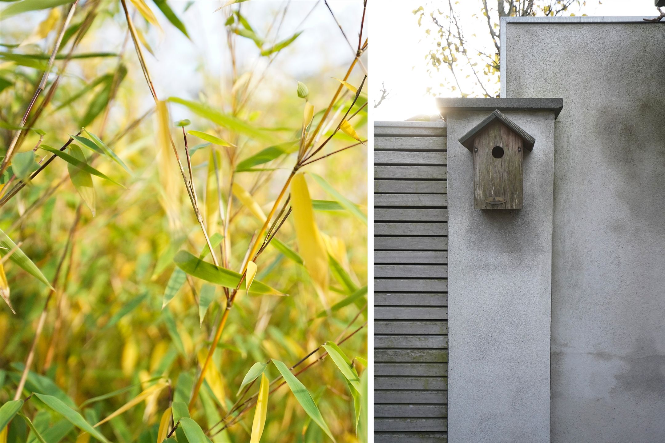 Foto 24 van Havikstraat 20