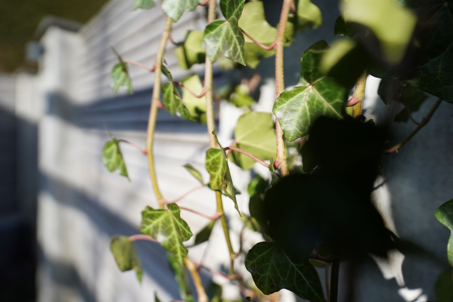 Foto 20 van Havikstraat 20