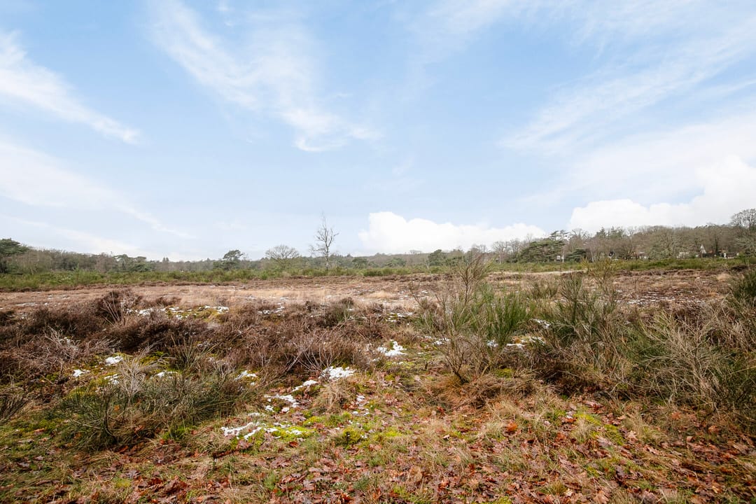 Foto 38 van Jacob van Wassenaerstraat 32