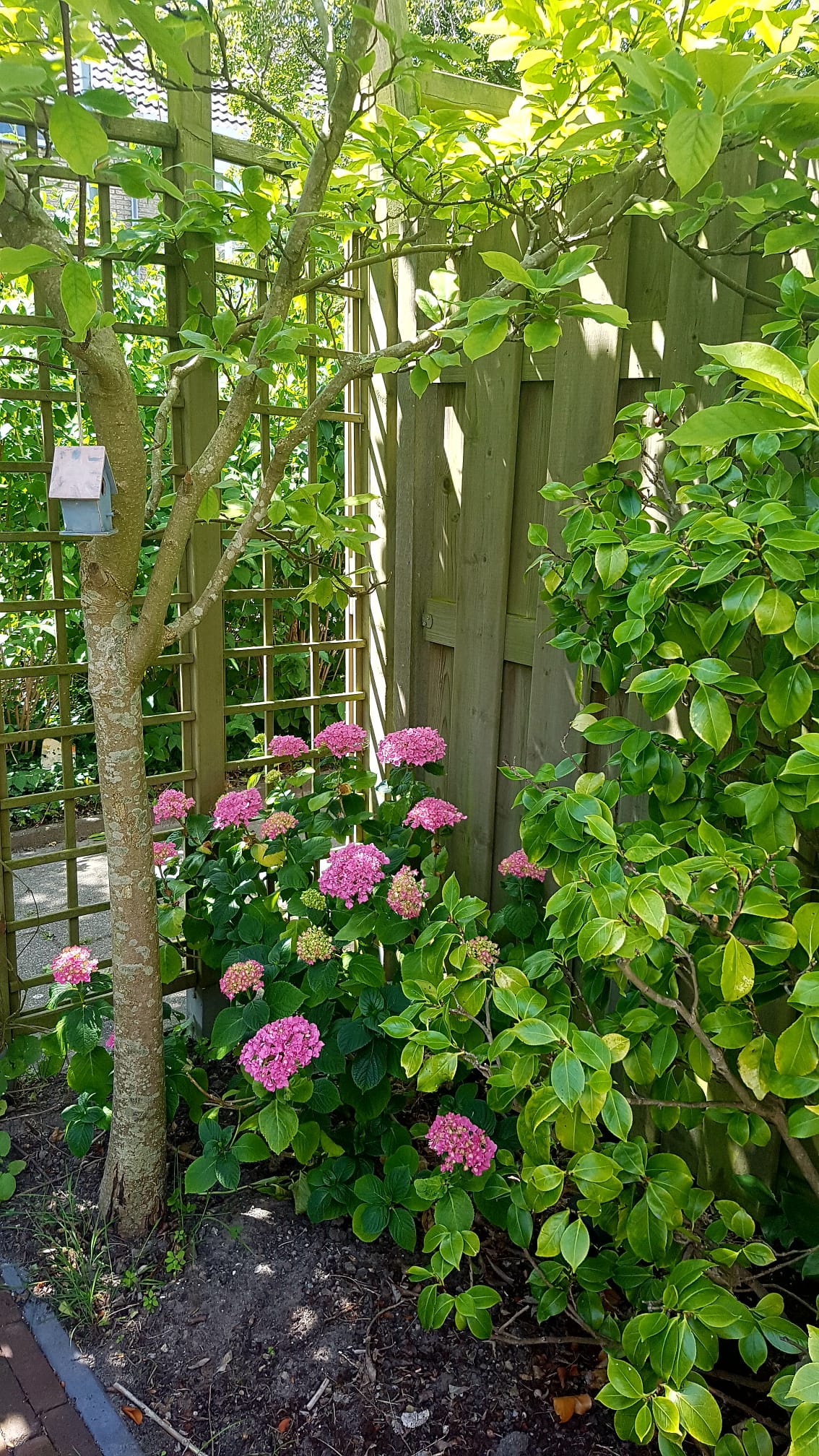 Foto 35 van Graan voor Visch 15228