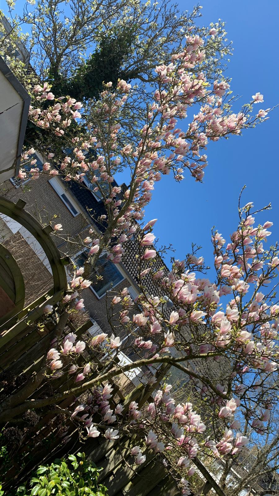 Foto 36 van Graan voor Visch 15228