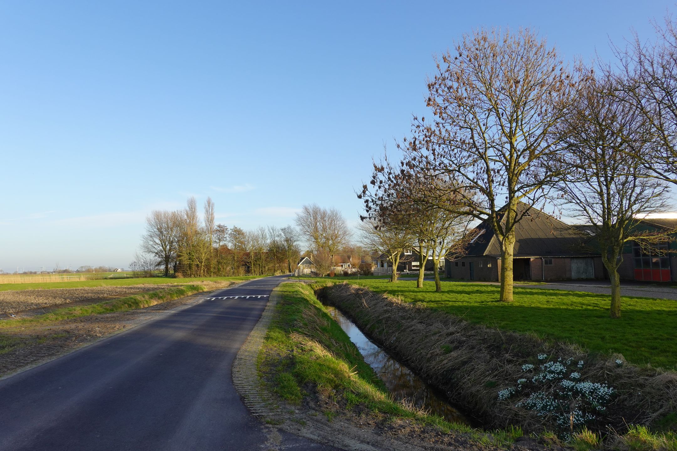 Foto 3 van Tolkerdijk 8