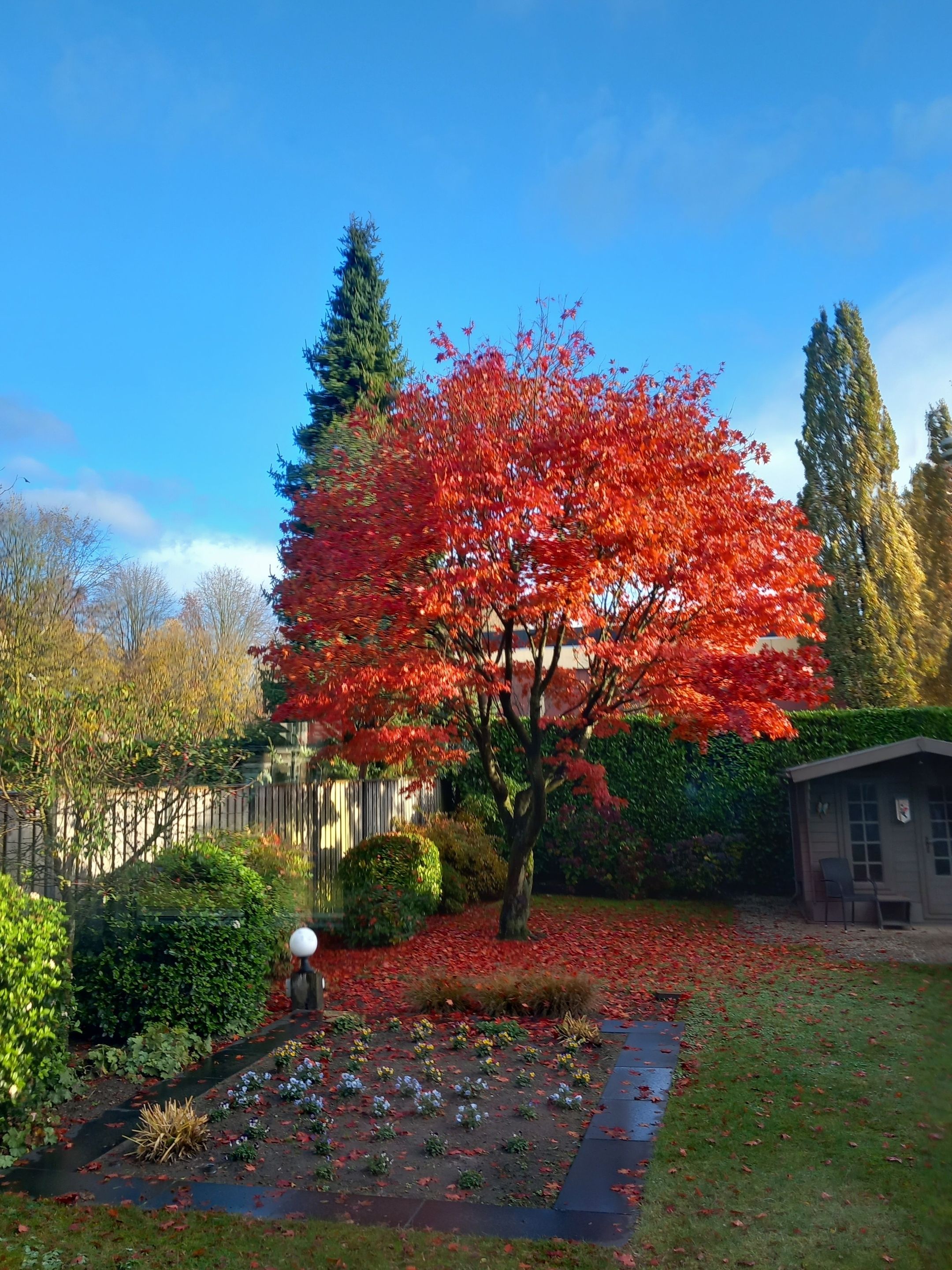 Foto 24 van Jan Tinbergenlaan 3