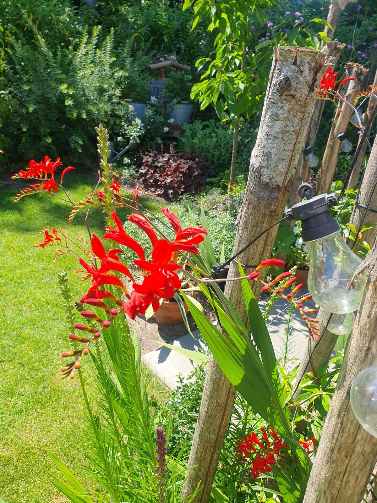 Foto 33 van Vijfsprongweg 30-63