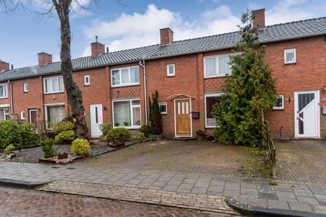 undefined main image