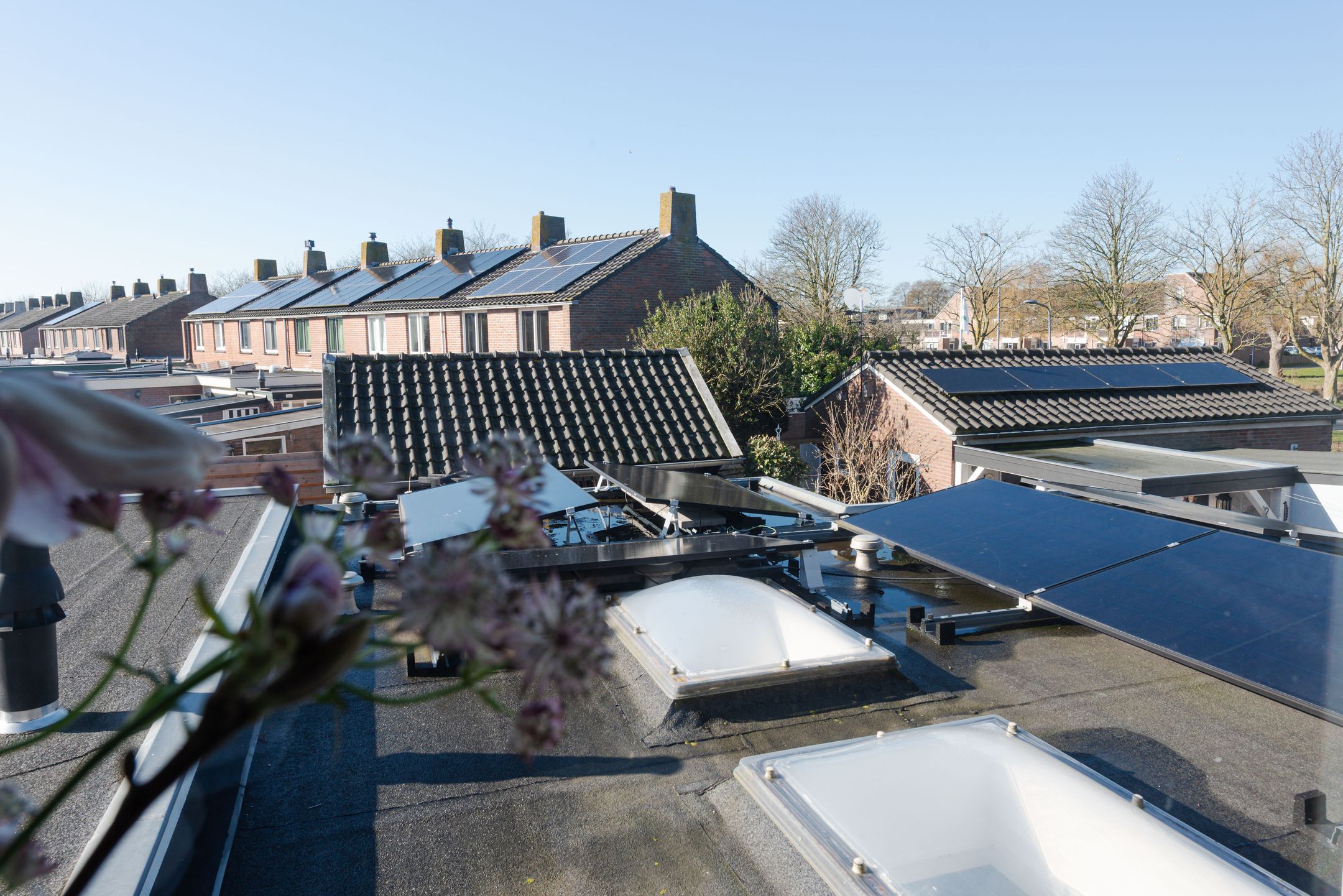 Foto 36 van Julianaplein 12