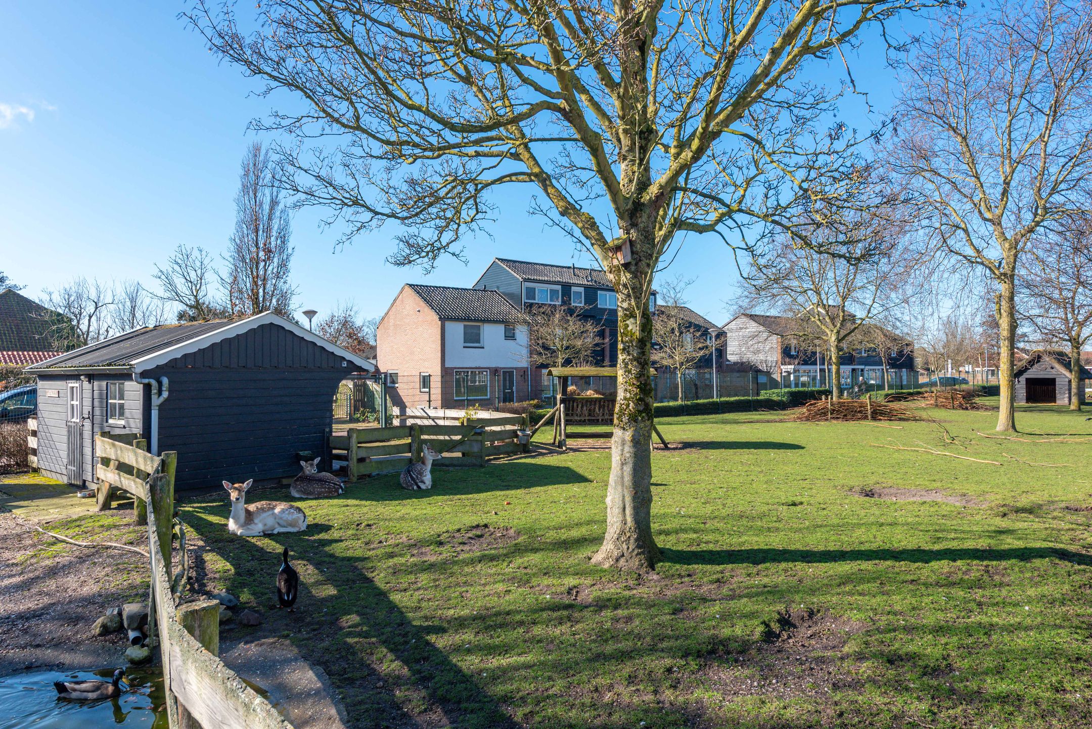 Foto 54 van Julianaplein 12