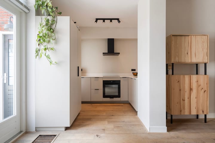 Photo 24 of Frederik Ruyschstraat 24